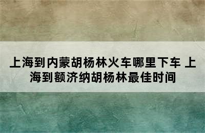 上海到内蒙胡杨林火车哪里下车 上海到额济纳胡杨林最佳时间